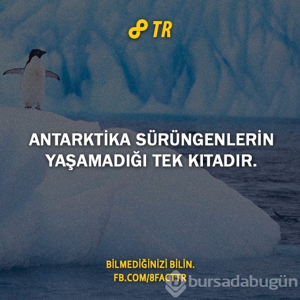 Az bilinen gerçekler