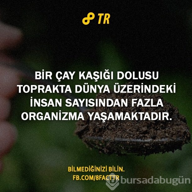 Az bilinen gerçekler