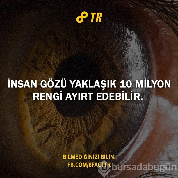 Az bilinen gerçekler