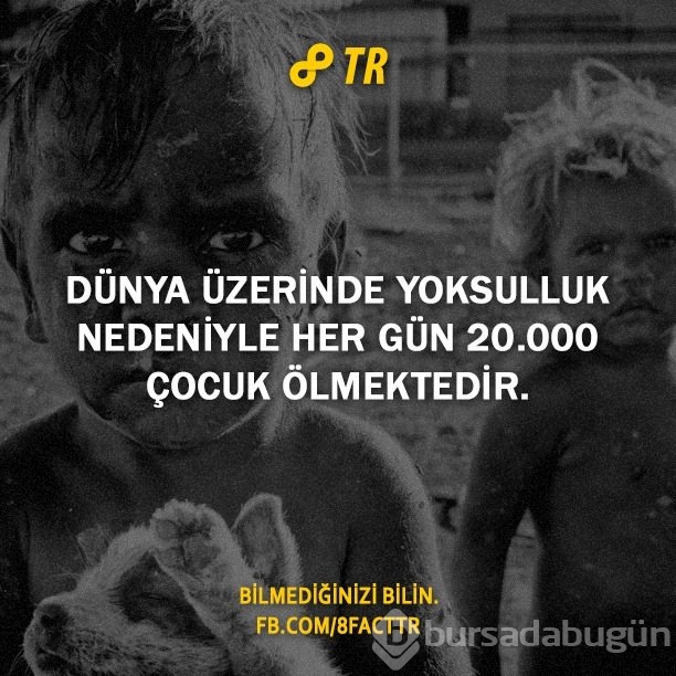 Az bilinen gerçekler