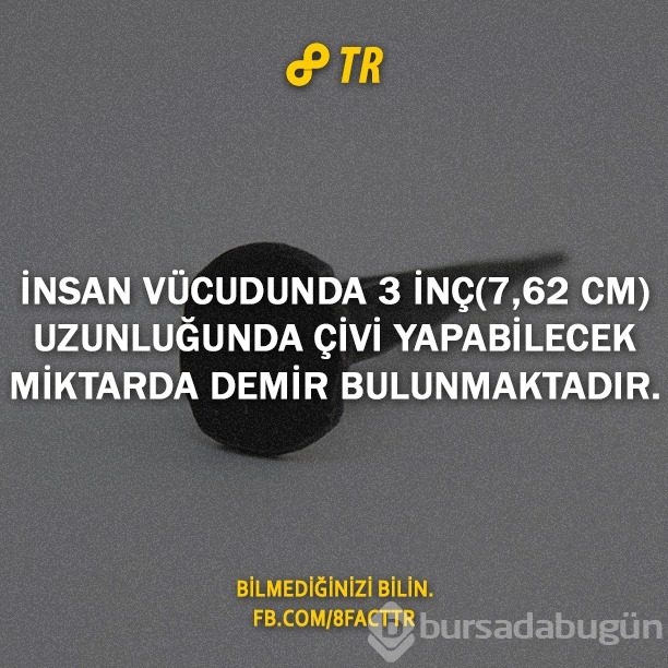 Az bilinen gerçekler