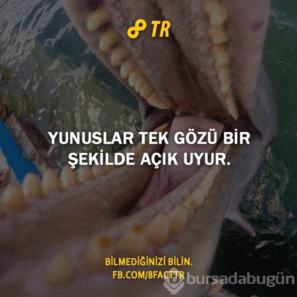 Az bilinen gerçekler