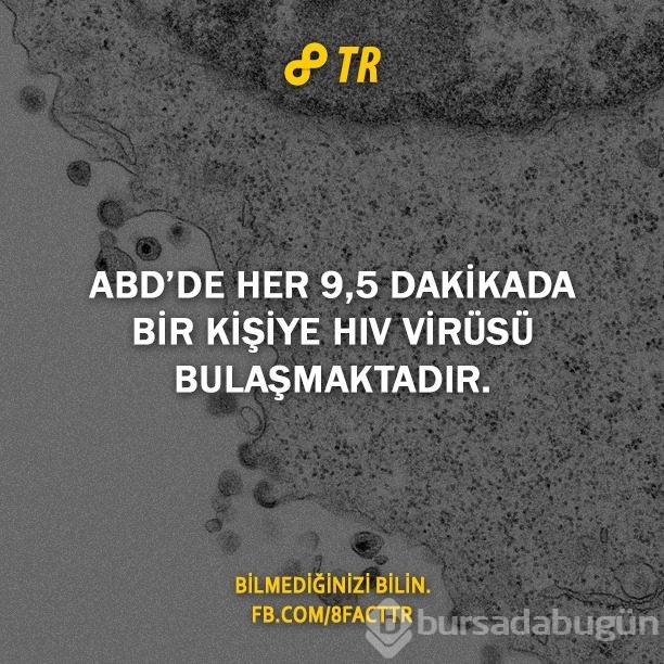 Az bilinen gerçekler