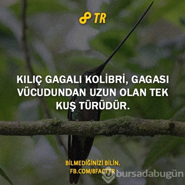 Az bilinen gerçekler