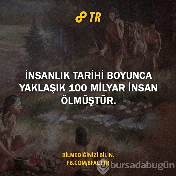 Az bilinen gerçekler