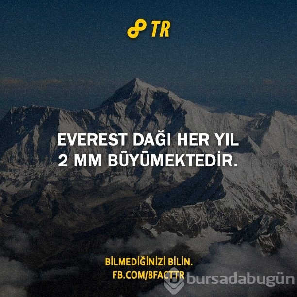 Az bilinen gerçekler