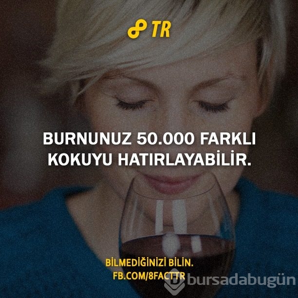 Az bilinen gerçekler