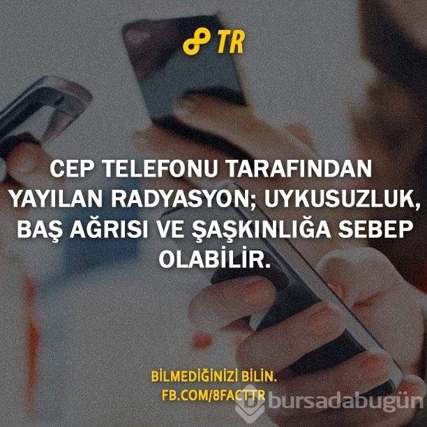 Az bilinen gerçekler