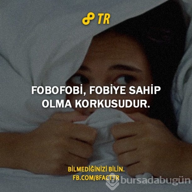 Az bilinen gerçekler