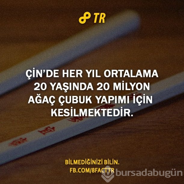 Az bilinen gerçekler