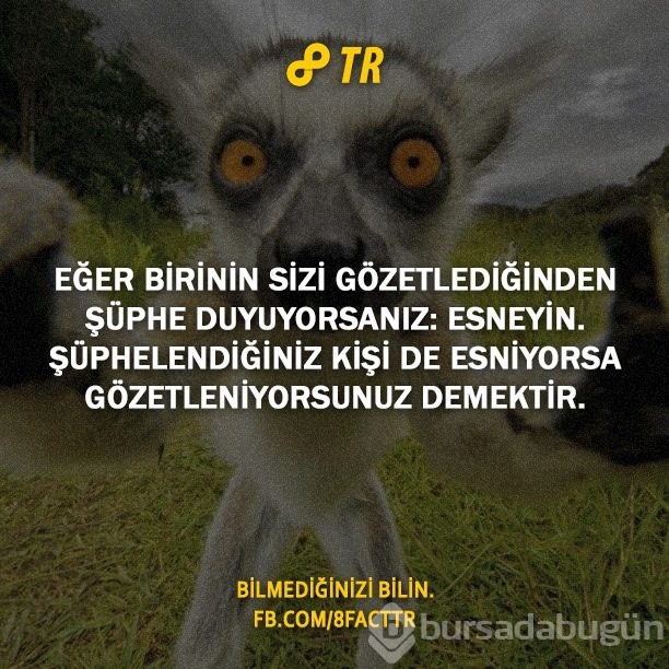 Az bilinen gerçekler