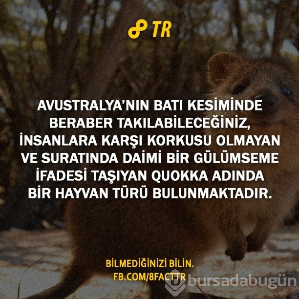 Az bilinen gerçekler
