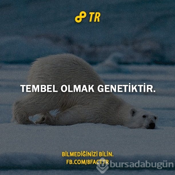 Az bilinen gerçekler