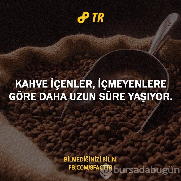 Az bilinen gerçekler