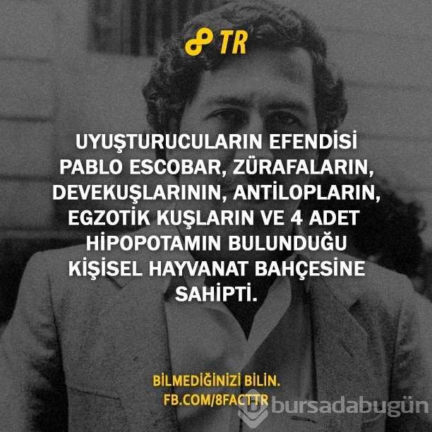 Az bilinen gerçekler