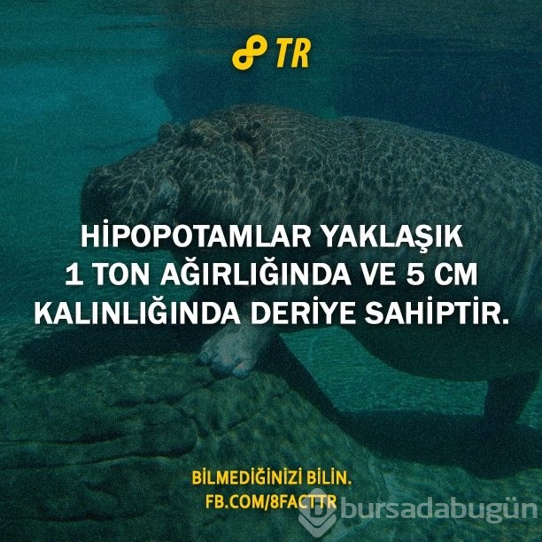 Az bilinen gerçekler