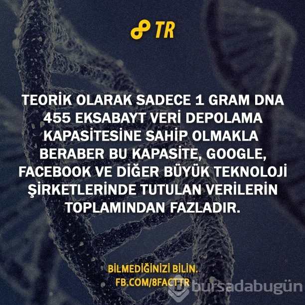 Az bilinen gerçekler
