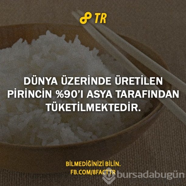 Az bilinen gerçekler