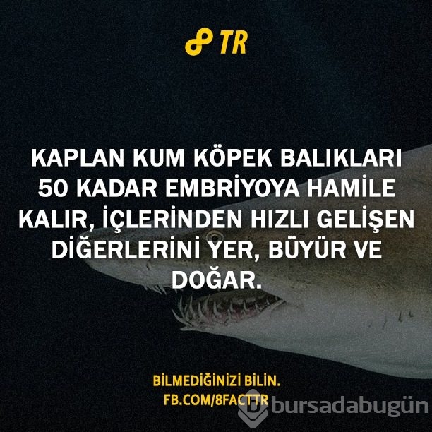 Az bilinen gerçekler