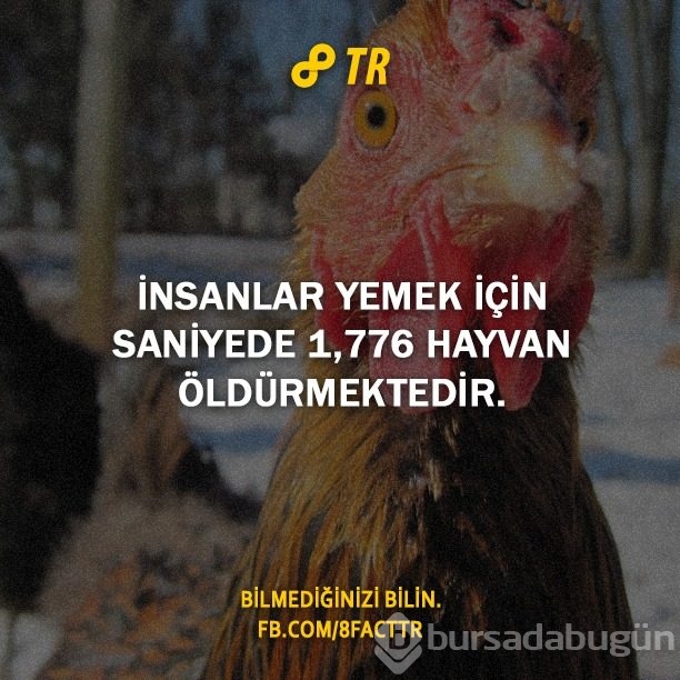 Az bilinen gerçekler