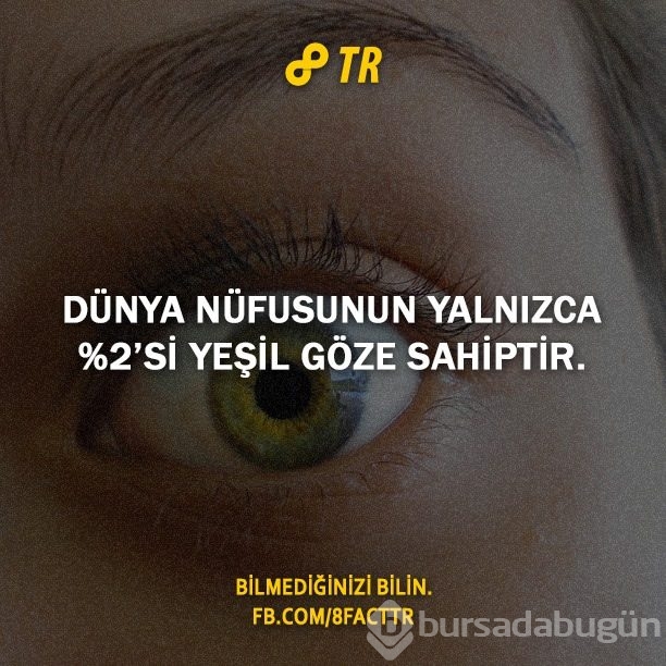 Az bilinen gerçekler