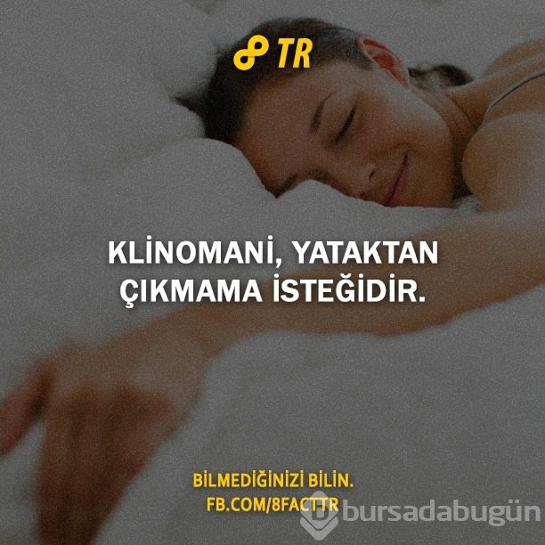Az bilinen gerçekler