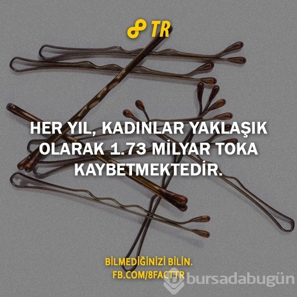 Az bilinen gerçekler