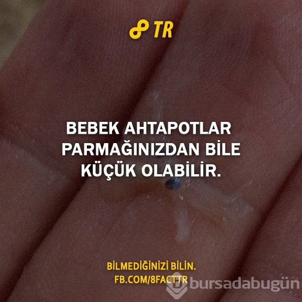 Az bilinen gerçekler