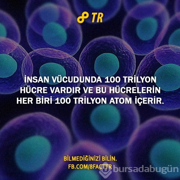 Az bilinen gerçekler