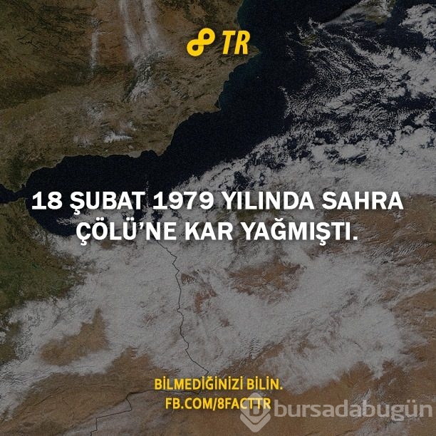 Az bilinen gerçekler