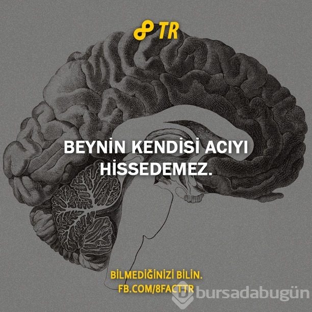 Az bilinen gerçekler