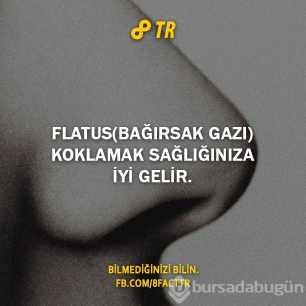 Az bilinen gerçekler