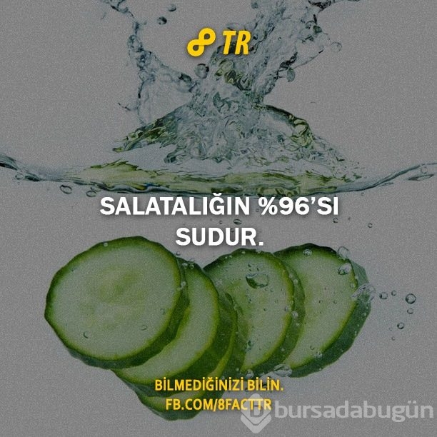 Az bilinen gerçekler