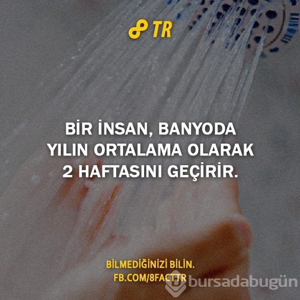 Az bilinen gerçekler