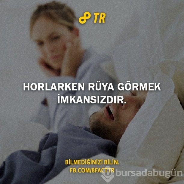 Az bilinen gerçekler
