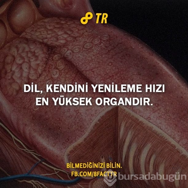Az bilinen gerçekler