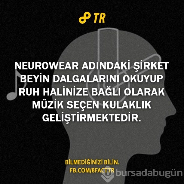 Az bilinen gerçekler