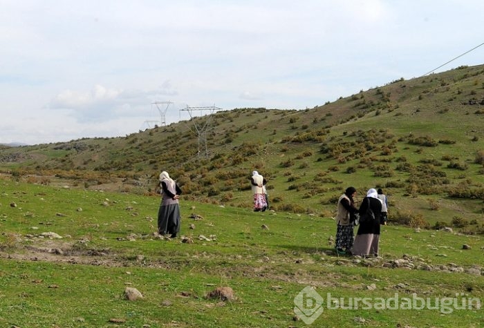 Bingöl'e düşen göktaşı zenginlik hayali oldu!