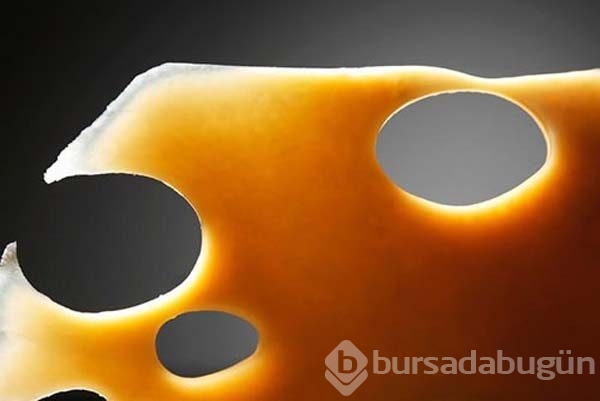 Gıda mühendisleri bütün rezilliği anlattı