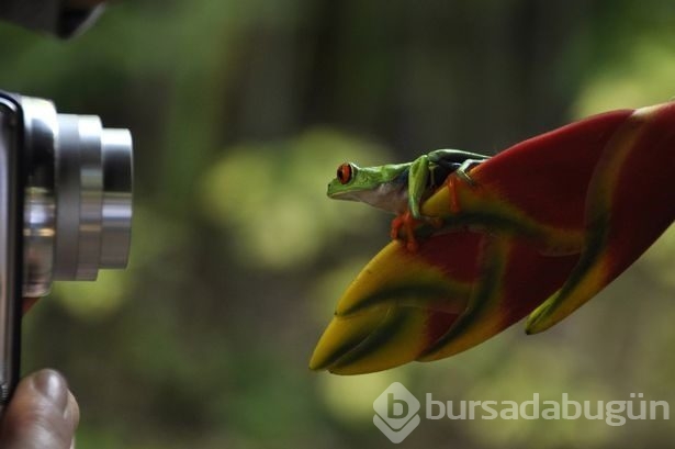 Olağanüstü seyahat fotoğrafları