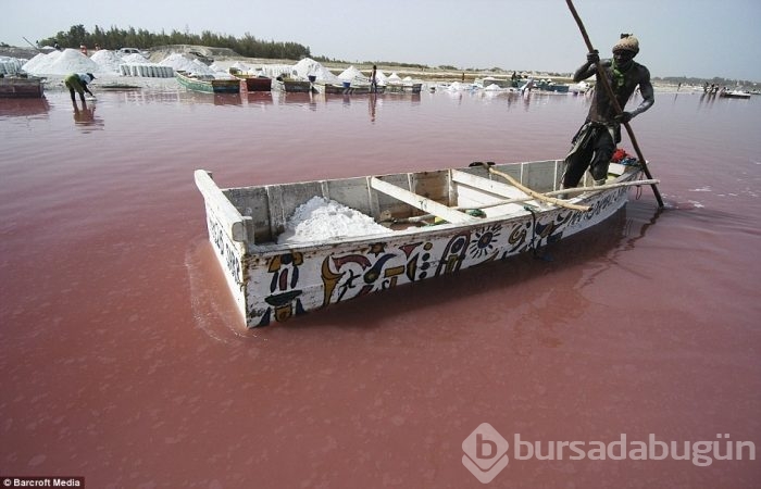 Pembe göl