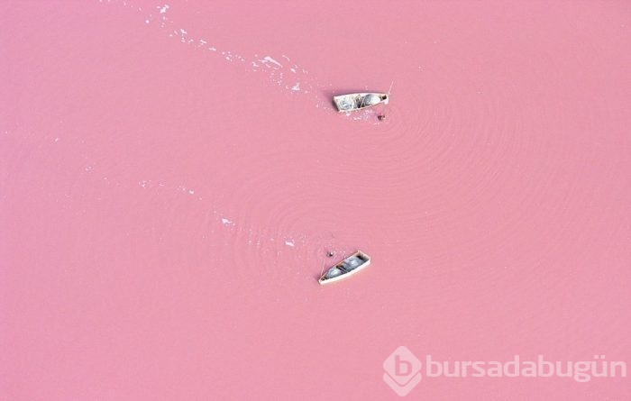 Pembe göl