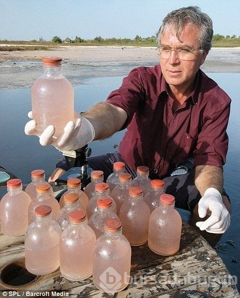 Pembe göl