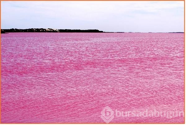 Pembe göl