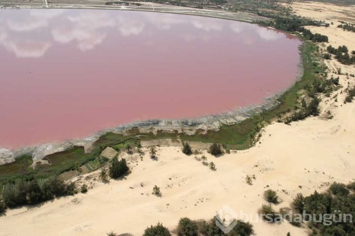 Pembe göl