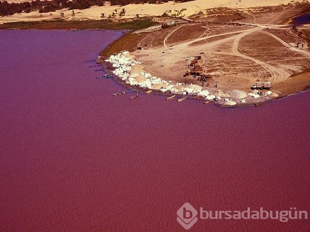 Pembe göl