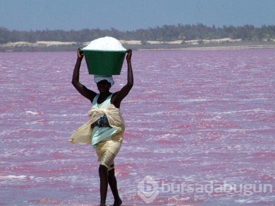 Pembe göl