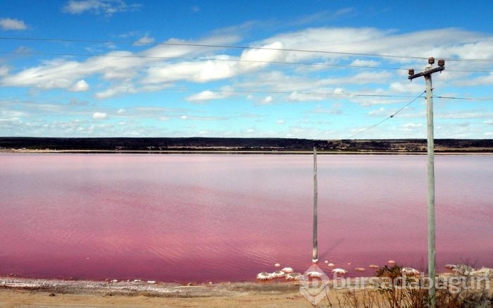 Pembe göl