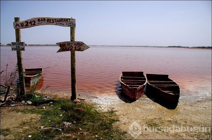 Pembe göl