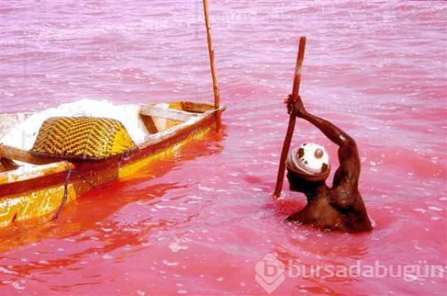 Pembe göl